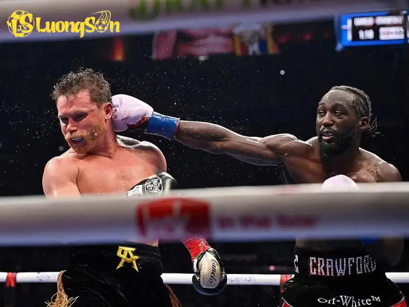 Canelo Alvarez chấp nhận thất bại đau đớn trước Terence Crawford